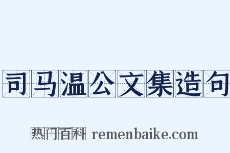 司马温公文集造句是什么意思的图片